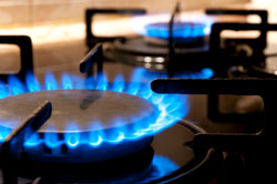 Gas Stove